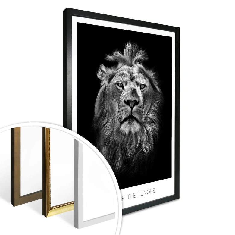 Poster Lion - Roi de la jungle 