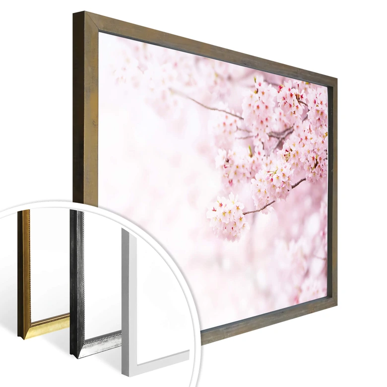 Poster Zarte Kirschblüten 