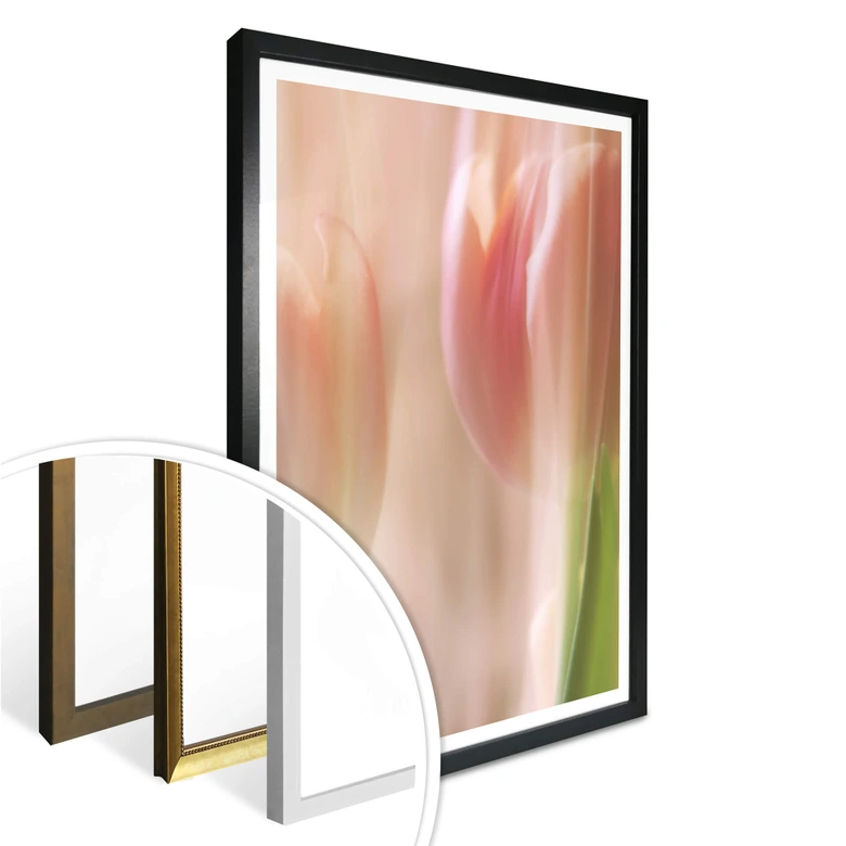 Poster Westum - Shy tulips 