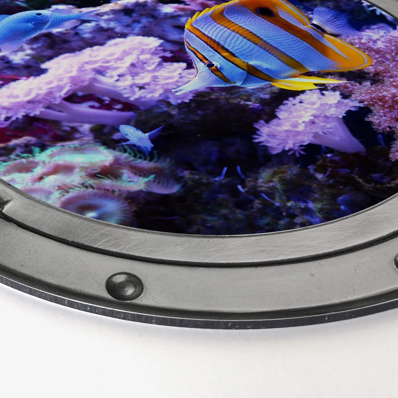 Alu-Dibond 3D Optik - Bunte Unterwasserwelt Lila Korallen - Rund 