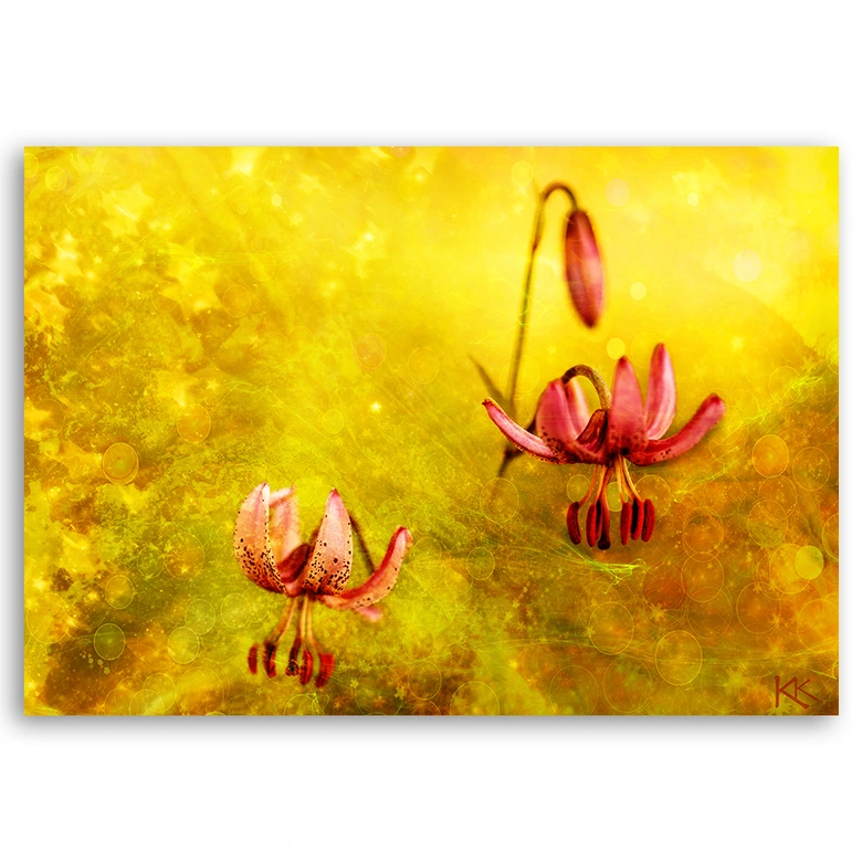 Leinwandbild, Tulpenblüten Natur Gelb 