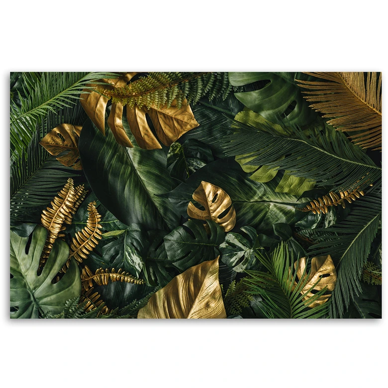 Leinwandbild, Tropische Monstera Blätter Pflanzen 