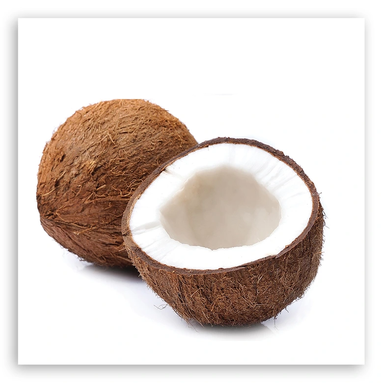 Leinwandbild, Kokosfrucht 