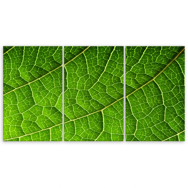 3-delige canvas print, groene bladeren natuur 
