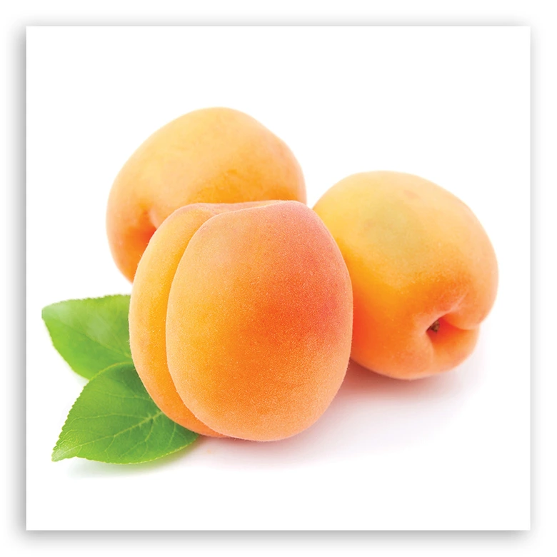 Leinwandbild, Aprikose Obst 