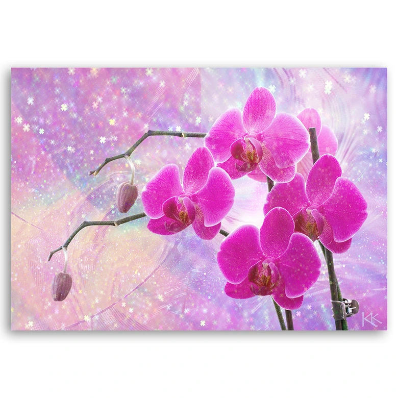 Leinwandbild, Abstrakt Rosa Orchideen Blumen 