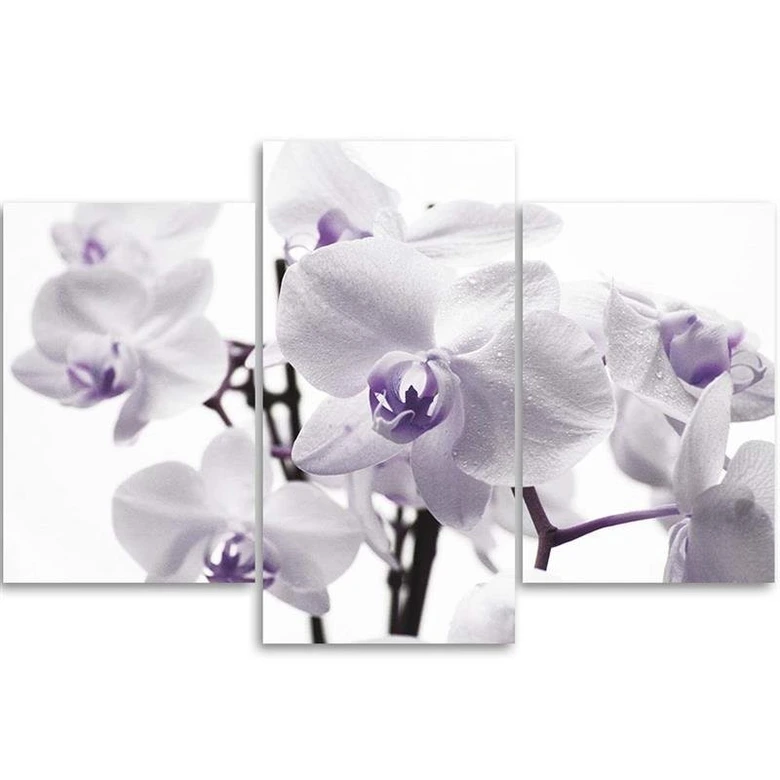 3-delige canvasprint, orchideebloesem paars 