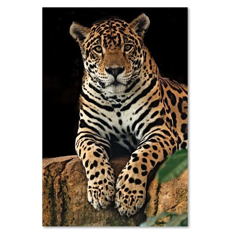 Canvasbillede, Leoparddyr 