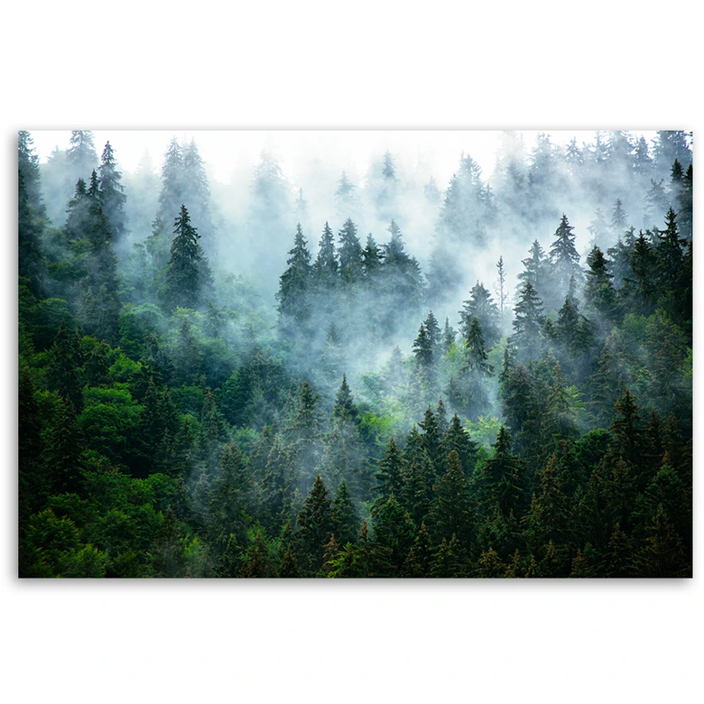 Canvasbillede, Skov i tåge 