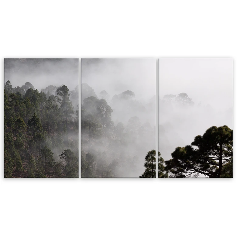 Leinwandbild 3-teilig, Wald im Nebel 