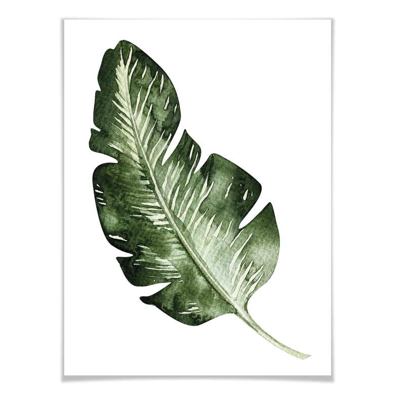 Poster Kvilis - Banana Leaf 
