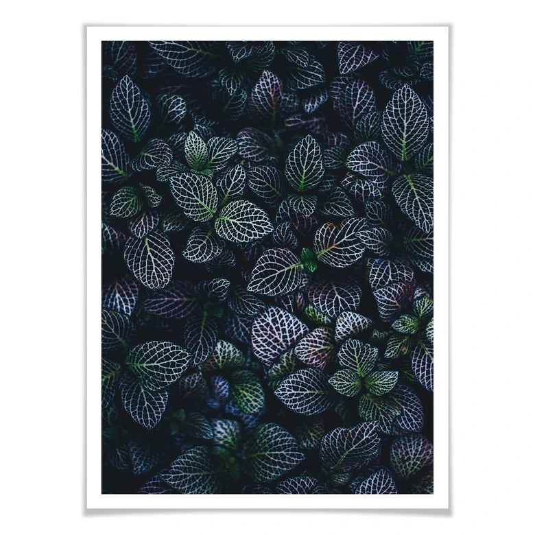 Poster Botanical Contrast 