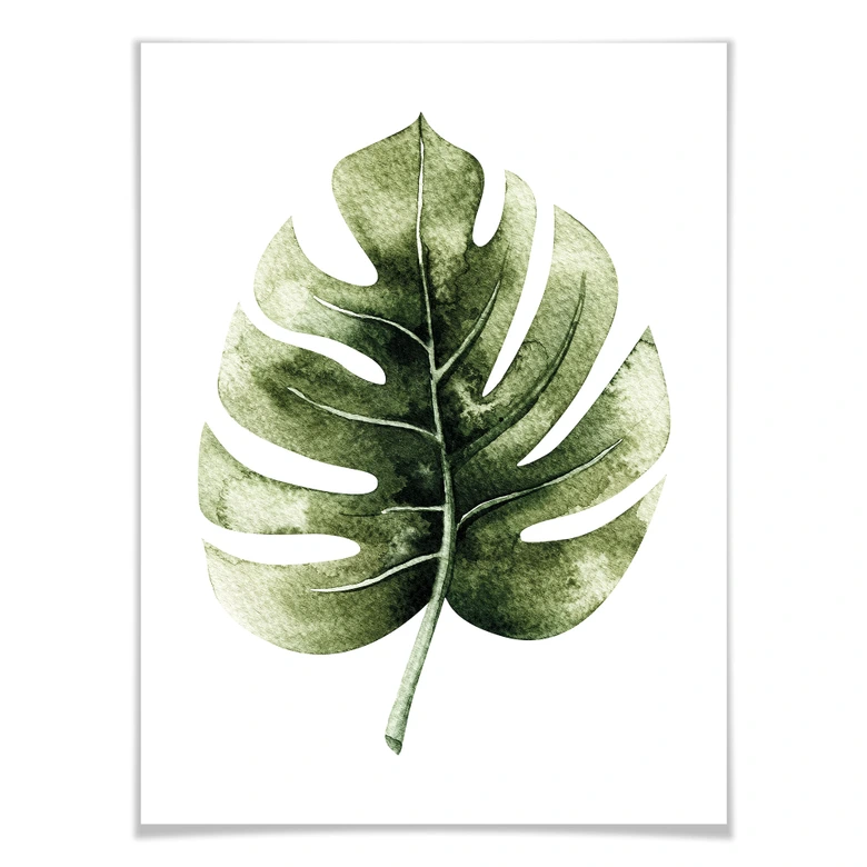 Poster Kvilis - Monstera Leaf 