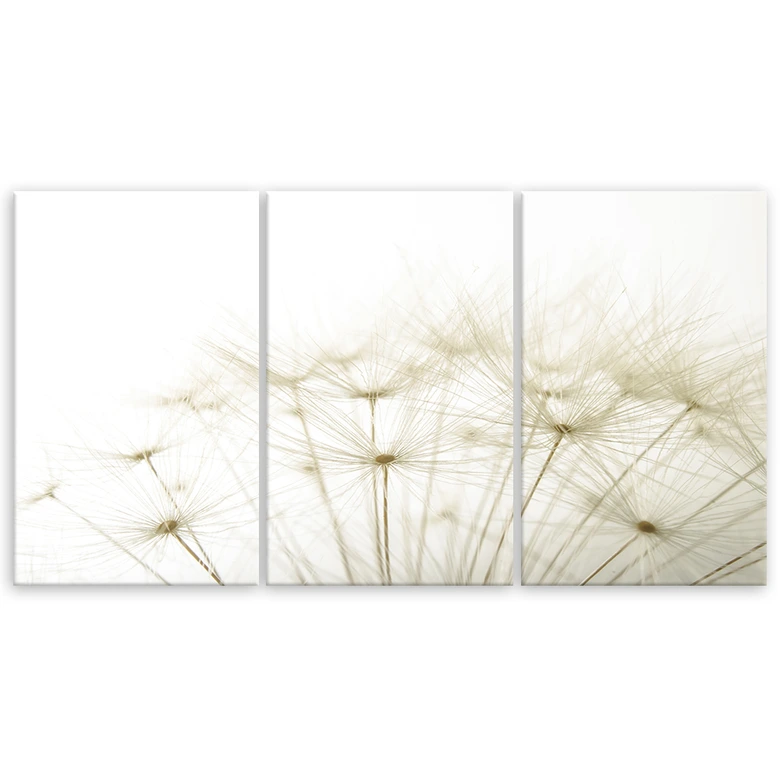 Leinwandbild 3-teilig, Gebläse Blumen Natur 