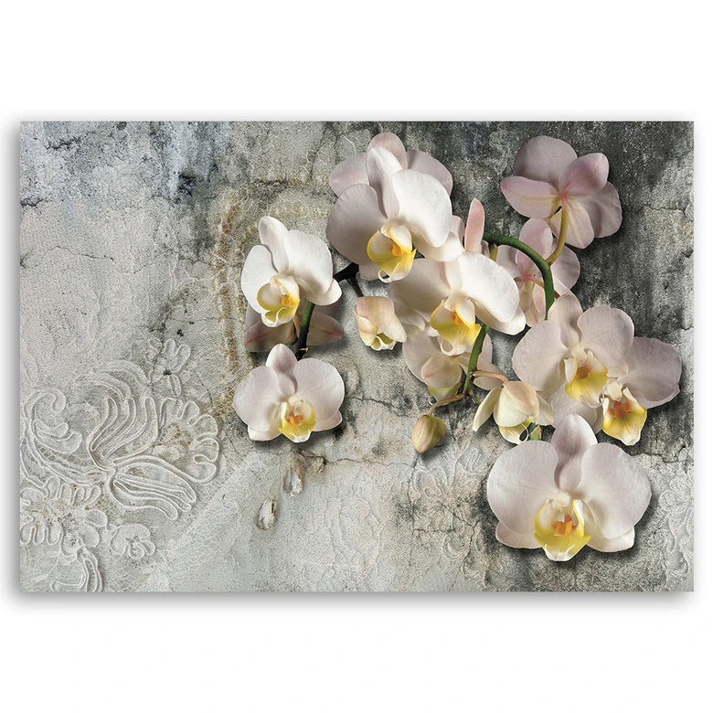 Leinwandbild, Orchideen Blumen Pflanzen 