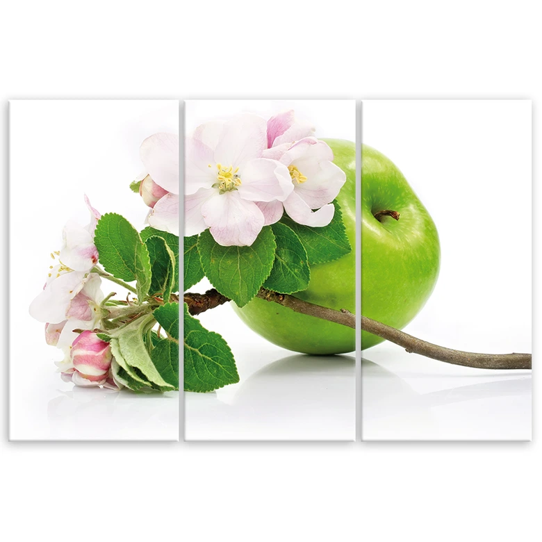 Leinwandbild 3-teilig, Äpfel Früchte Blüte 