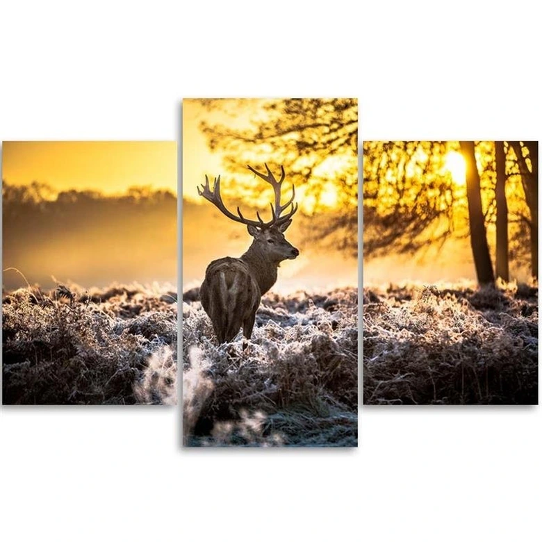 3 stykke lærredsprint, Deer Forest Sunset 