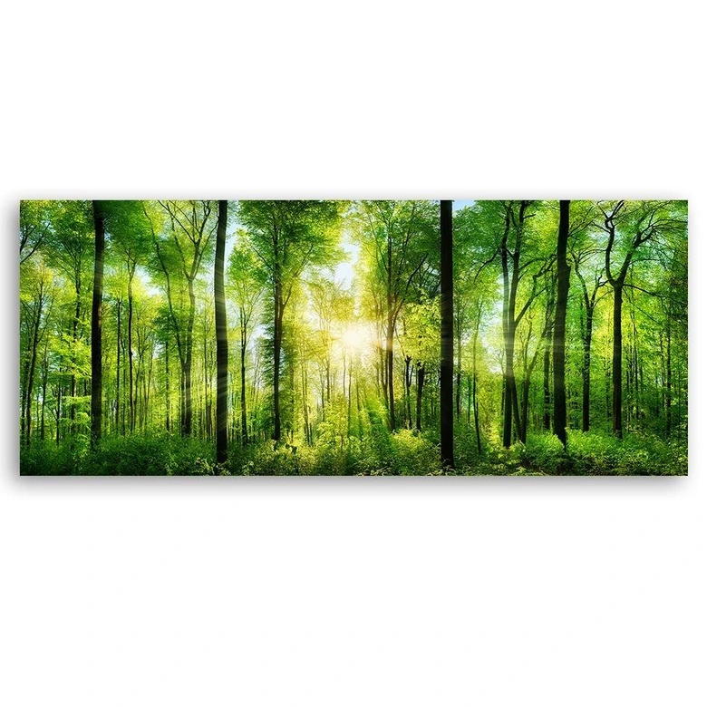 Leinwandbild, Sonnenschein im Wald Landschaft 