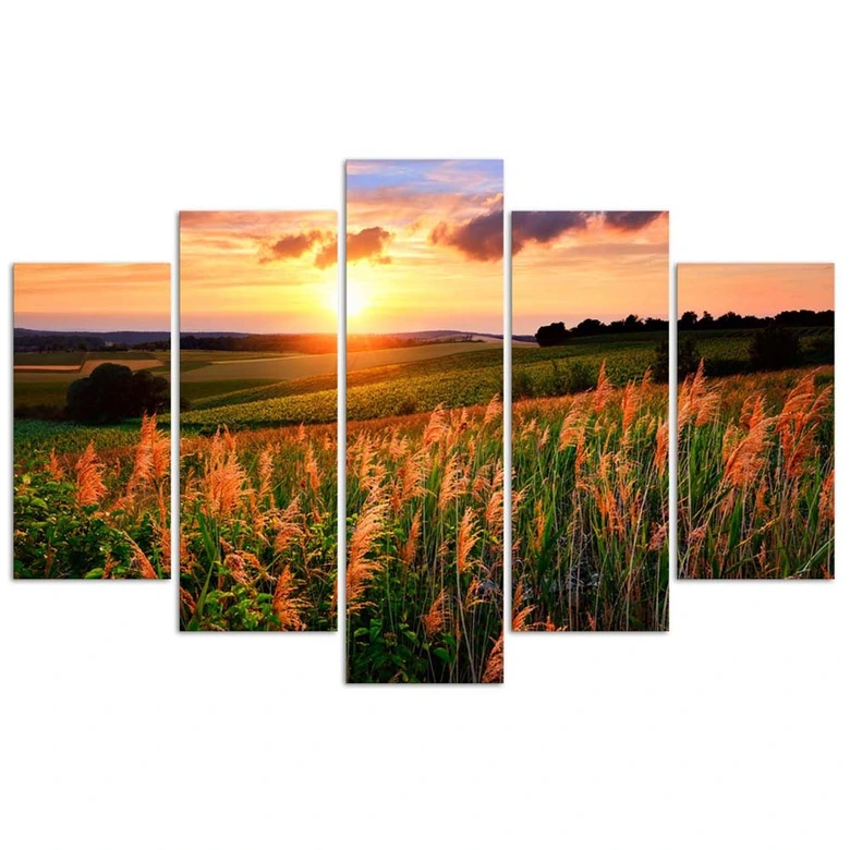 Leinwandbild 5 teilig, Sonnenuntergang Blumen Wiese 