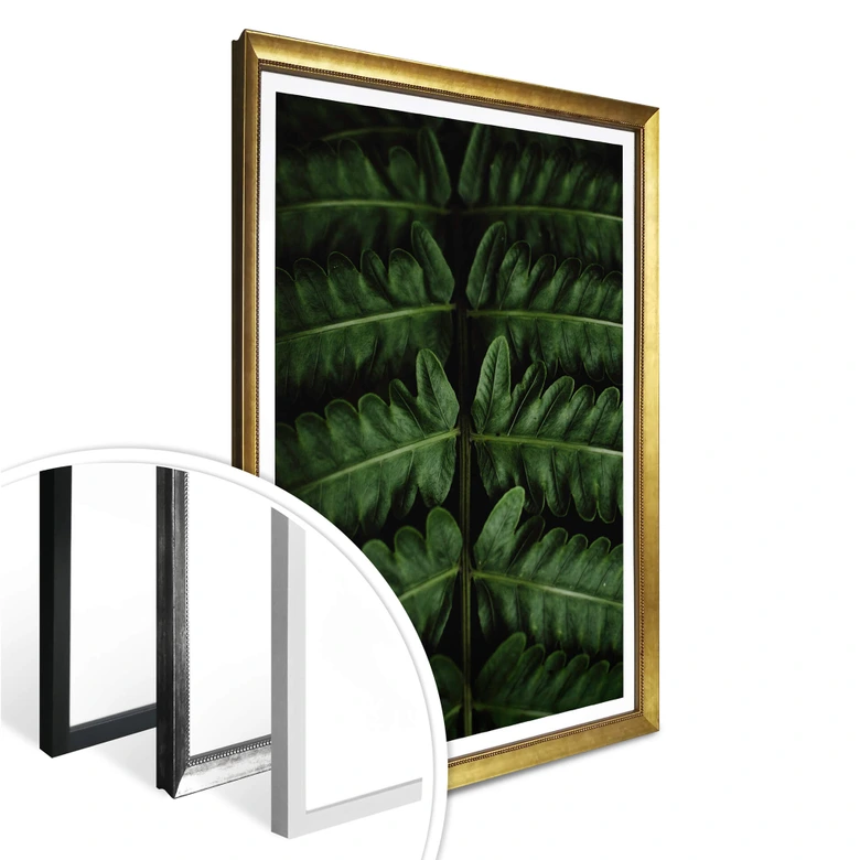 Poster Botanical 02  