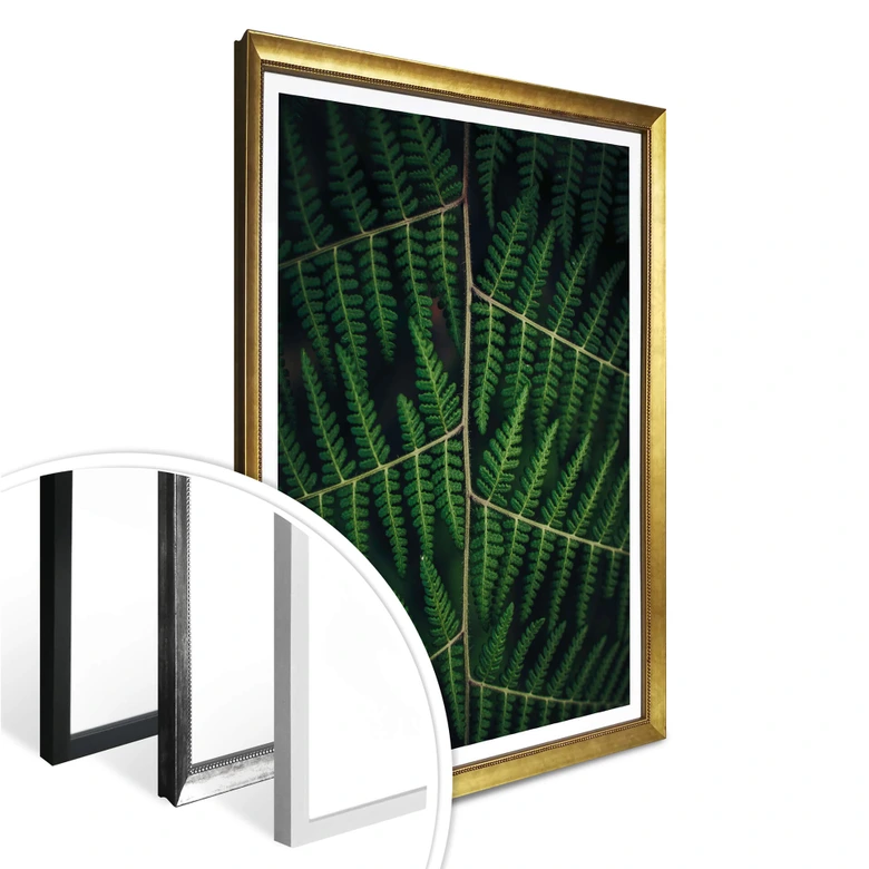 Poster Botanical 03 