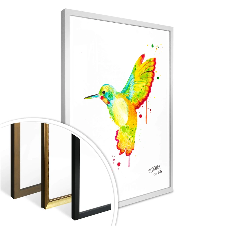 Poster Buttafly - Kolibri 