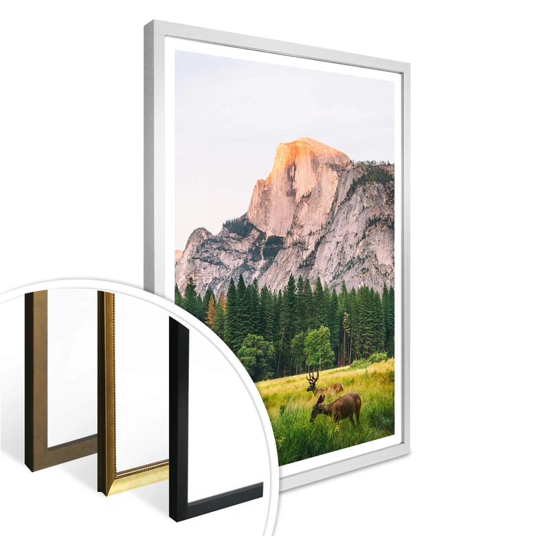 Poster Deers in the Mountains 