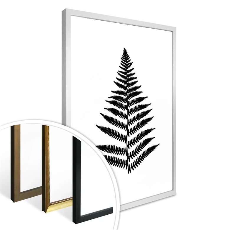 Poster Farn 