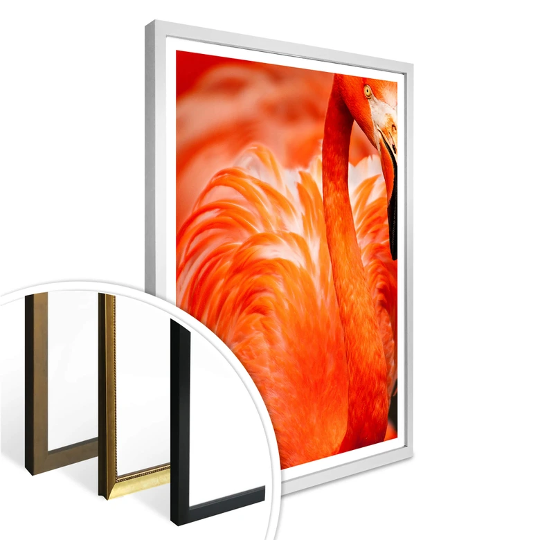 Póster del flamenco 