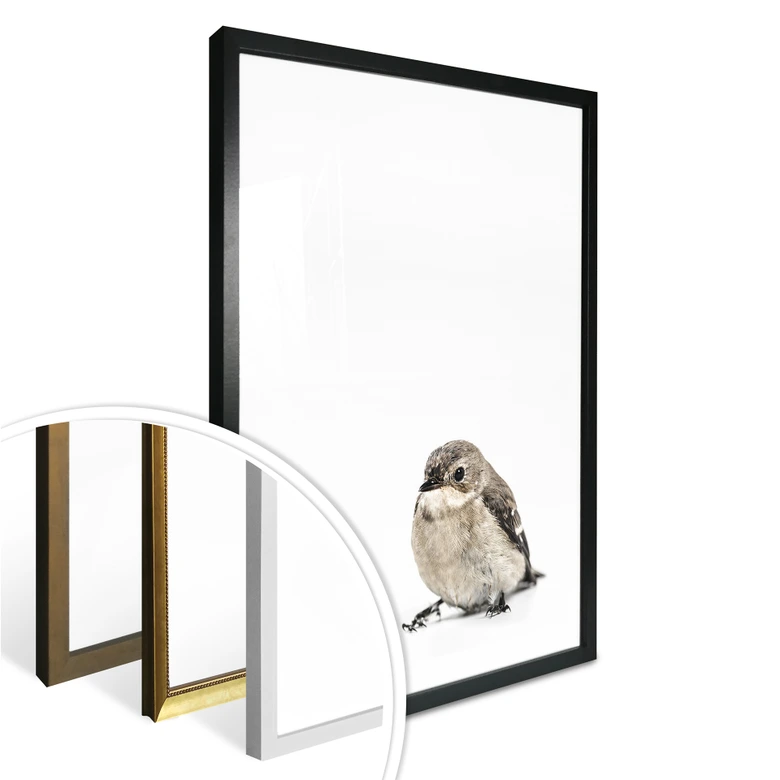 Poster Kleiner Spatz 