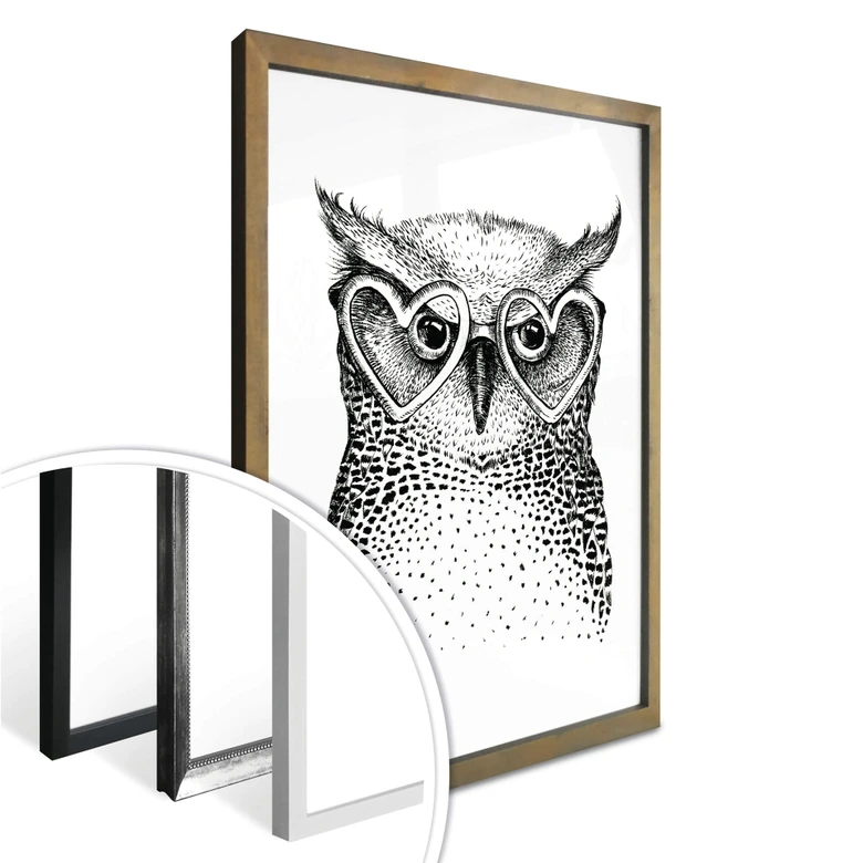 Poster Kvilis - Den lilla nördiga ugglan 