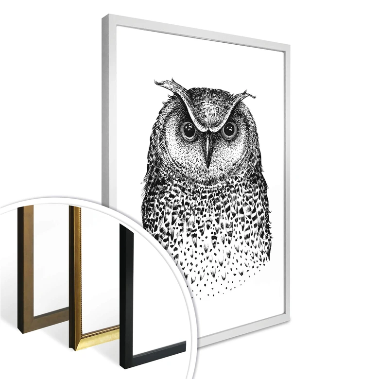 Póster Kvilis - Búho 01 