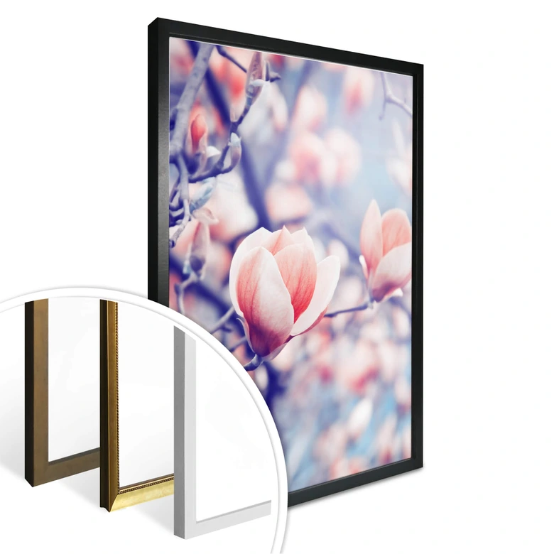 Poster Magnolienknospe 
