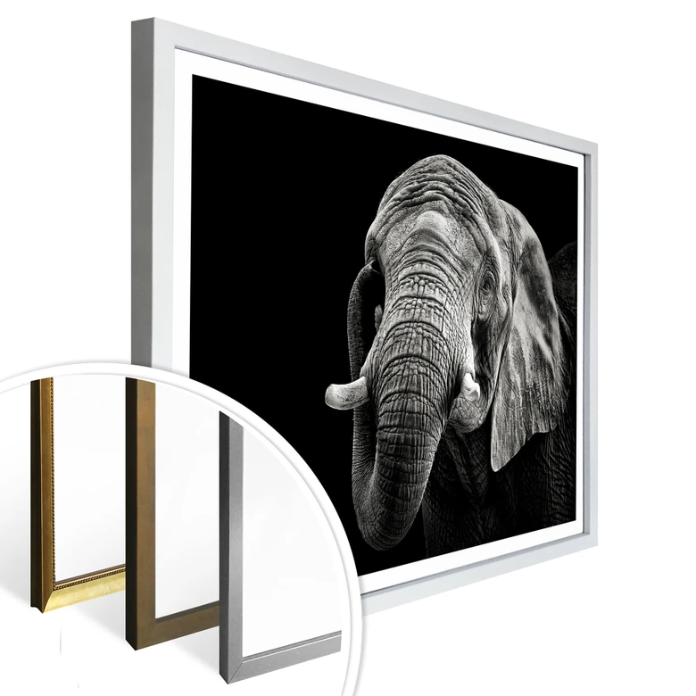 Poster Meermann - Der Elefant 