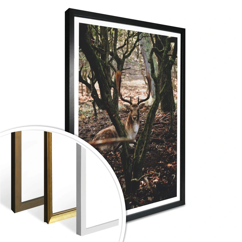 Poster Pause im Wald 