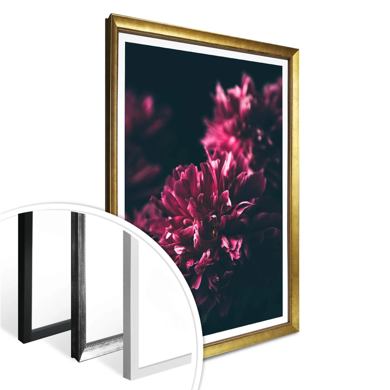 Póster Sueño Flor Rosa 01 