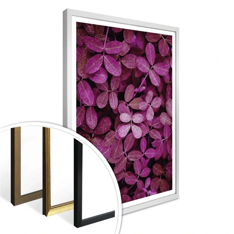 Poster Pink Leaves 