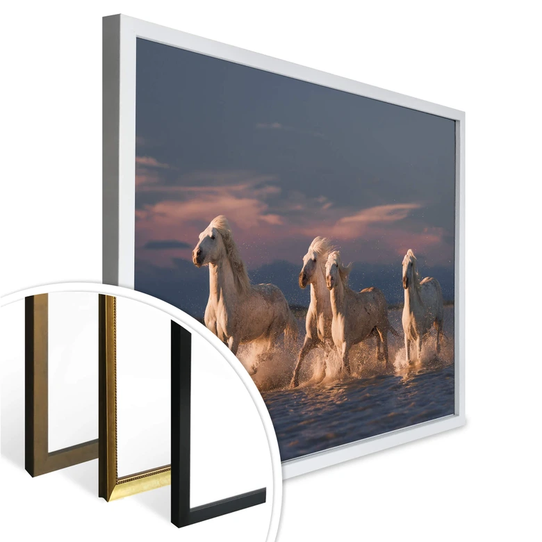 Poster Rostovskiy - Angels of Camargue 