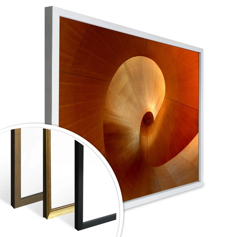 Poster Shainidze - The Curve 