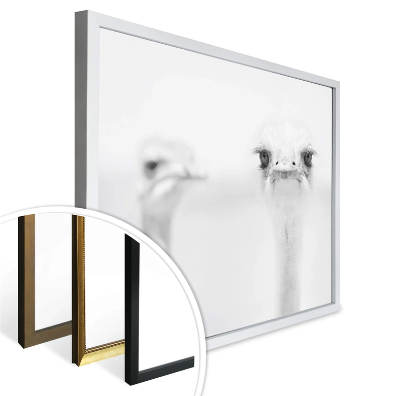 Poster Tonti - Augenblick 