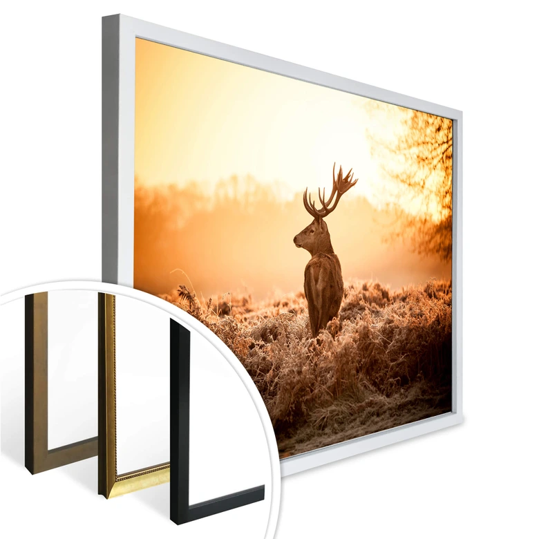 Poster Majestueus Hert 