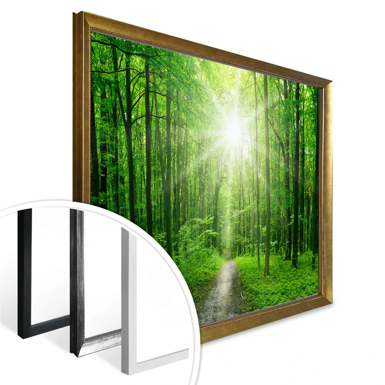 Poster Sunny Forest 