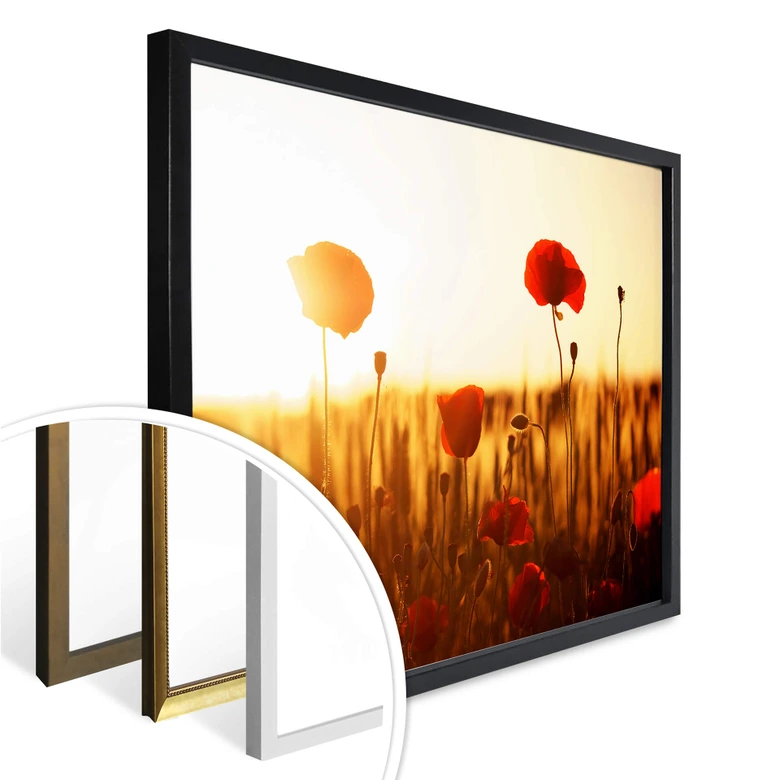 Poster Sonnenflut im Mohnfeld 