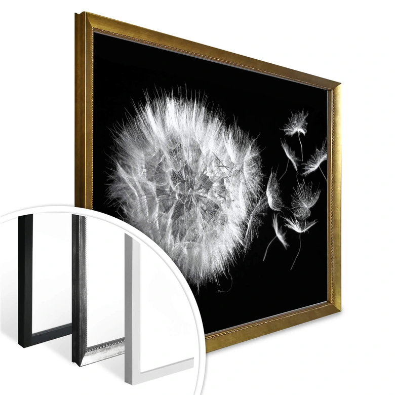 Poster Pusteblume 