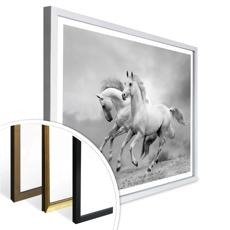Poster Pferde im Galopp 