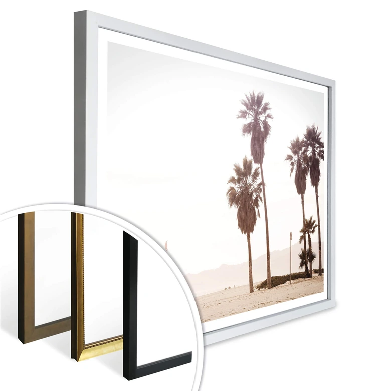 Poster Palm Trees 