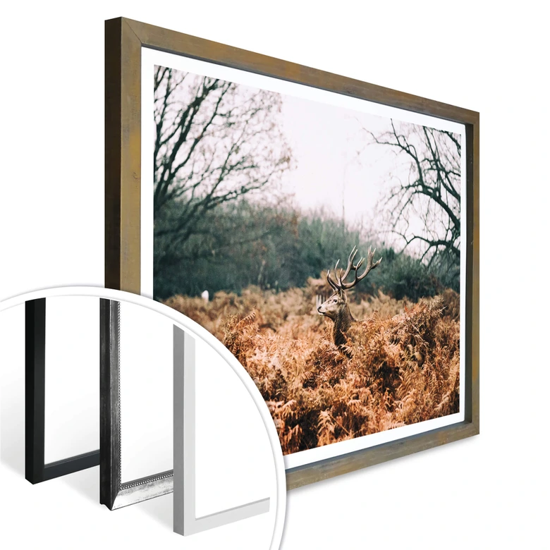 Poster Im Wald 