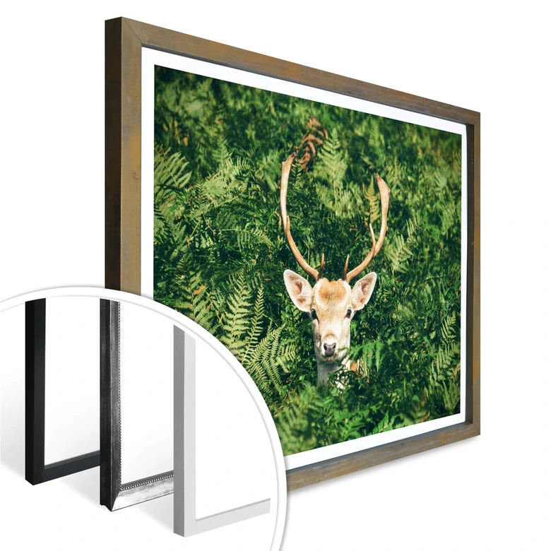 Poster Versteckspiel im Wald 