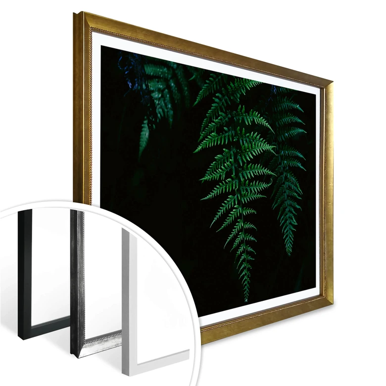Poster Farn 03 