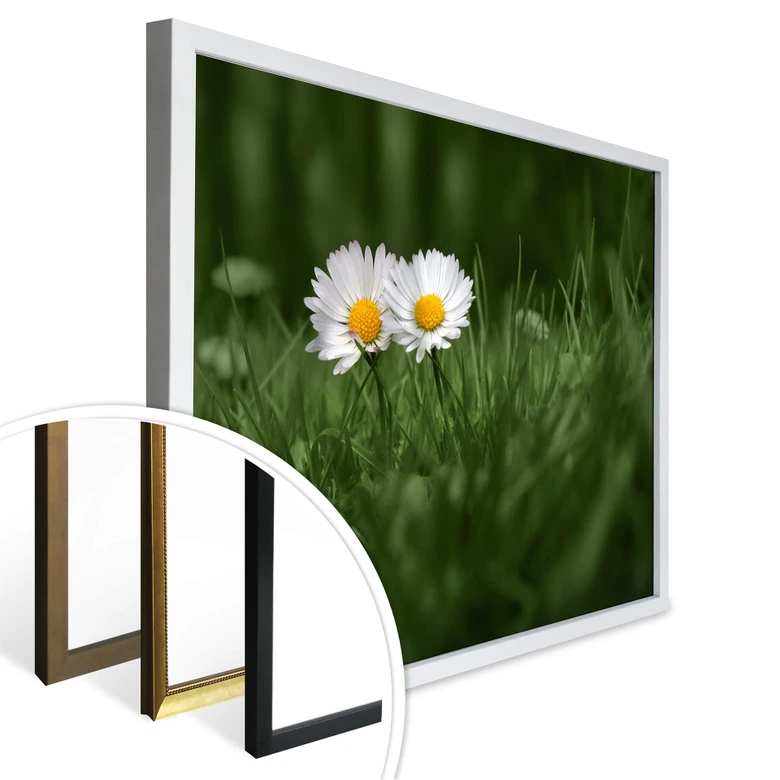 Poster Ben Heine - Zwei Gänseblümchen 